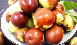 冬枣储存爆料方法视频教程,视频教程教你轻松延长保鲜期