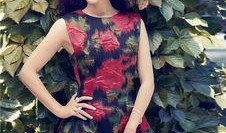 陈数最新爆料新闻视频,揭秘演艺圈幕后真相，独家视频大揭秘